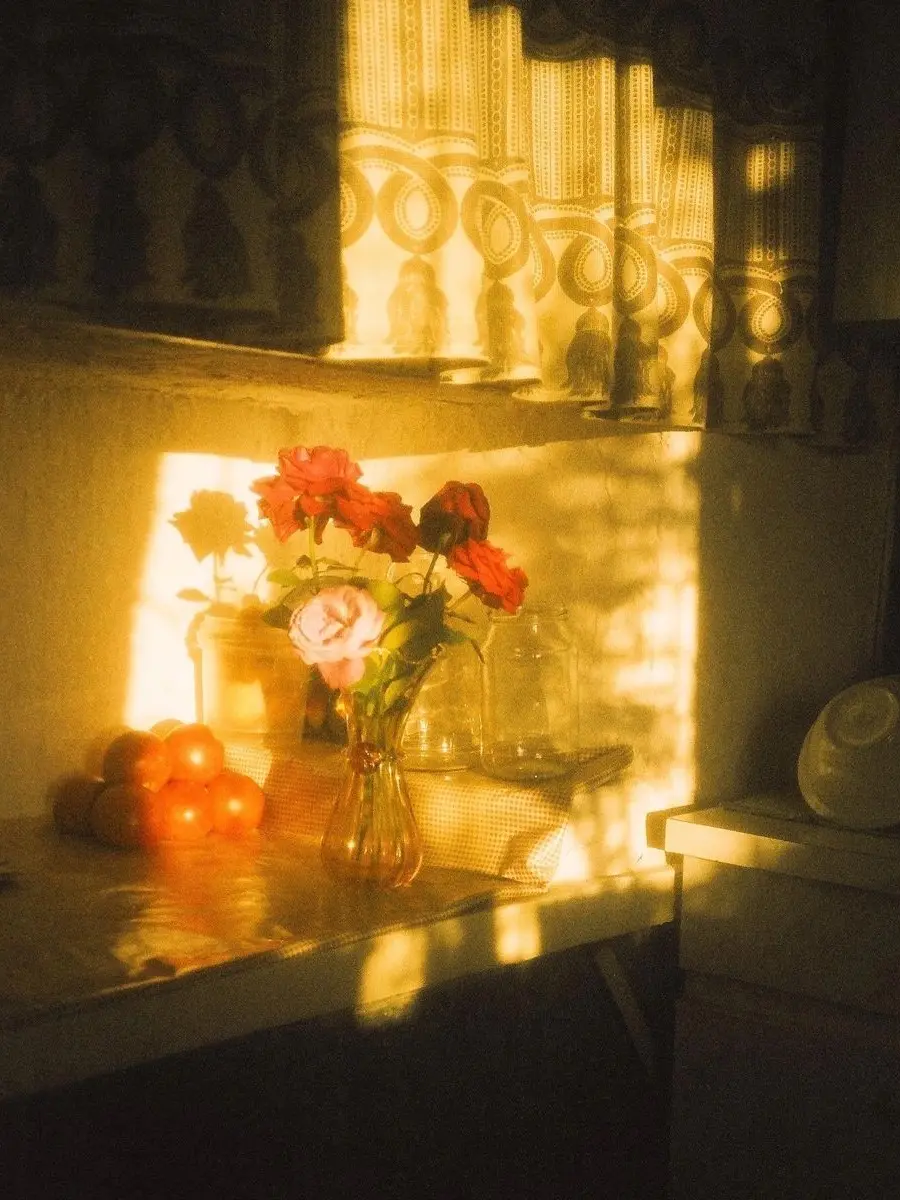 EggyCream3452의 Fly and what?