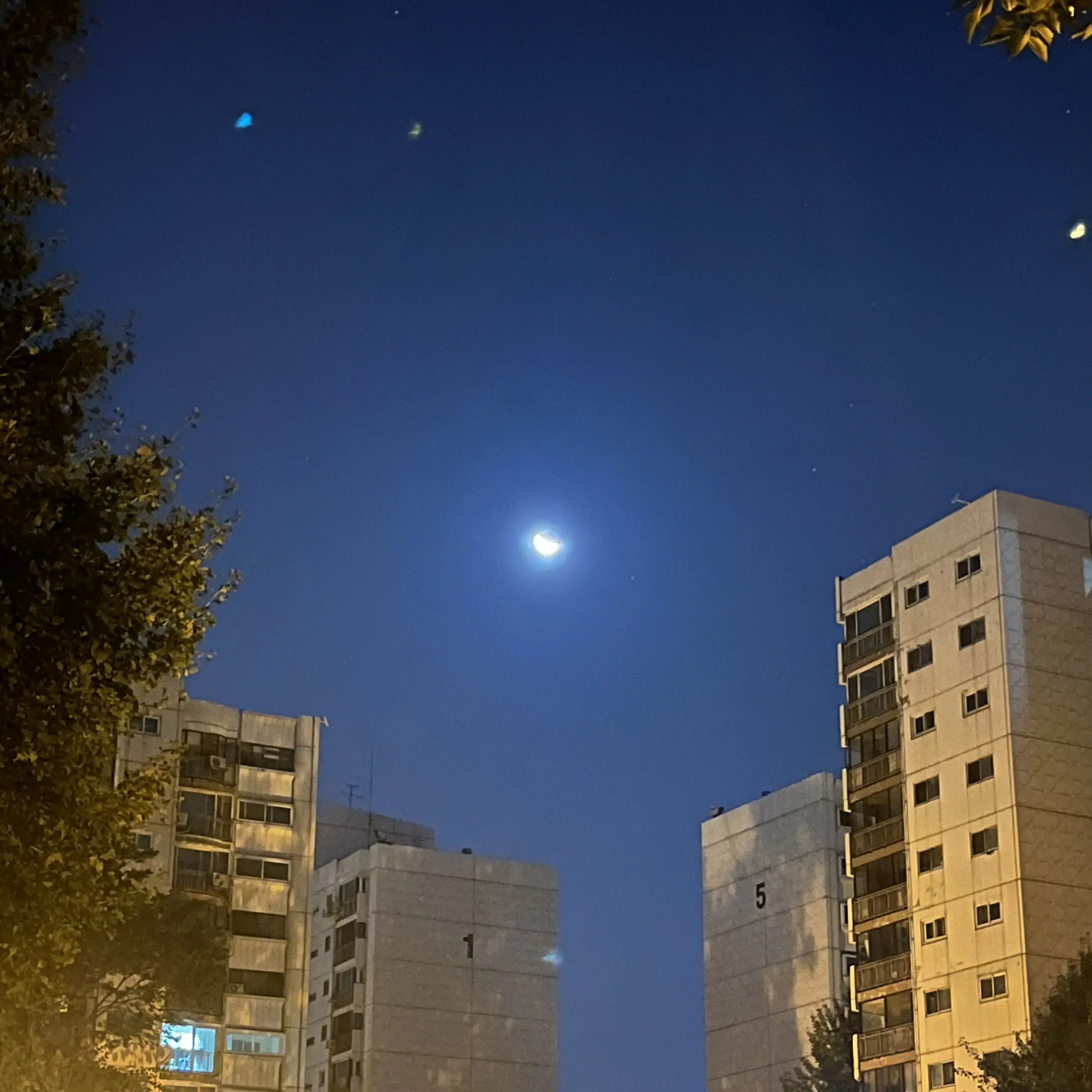 NearBrick0545의 네오내오없이