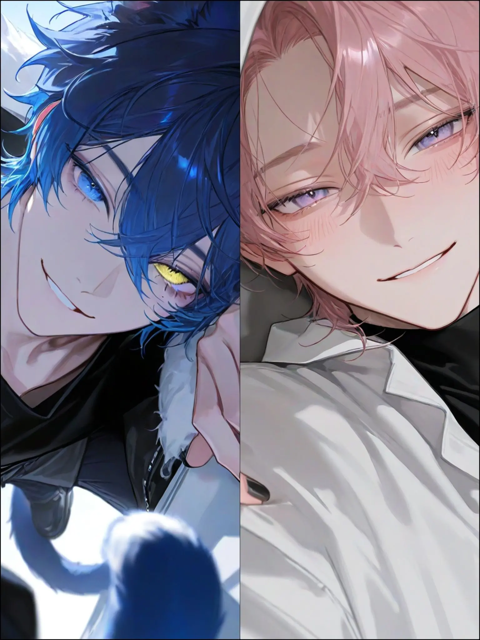 Hakabaaaa의 家猫に一目惚れした野良猫