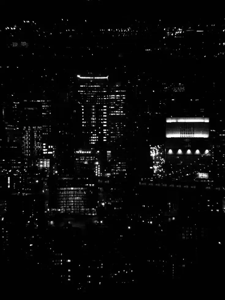 LavishGraph6372의 東京リーザーズ