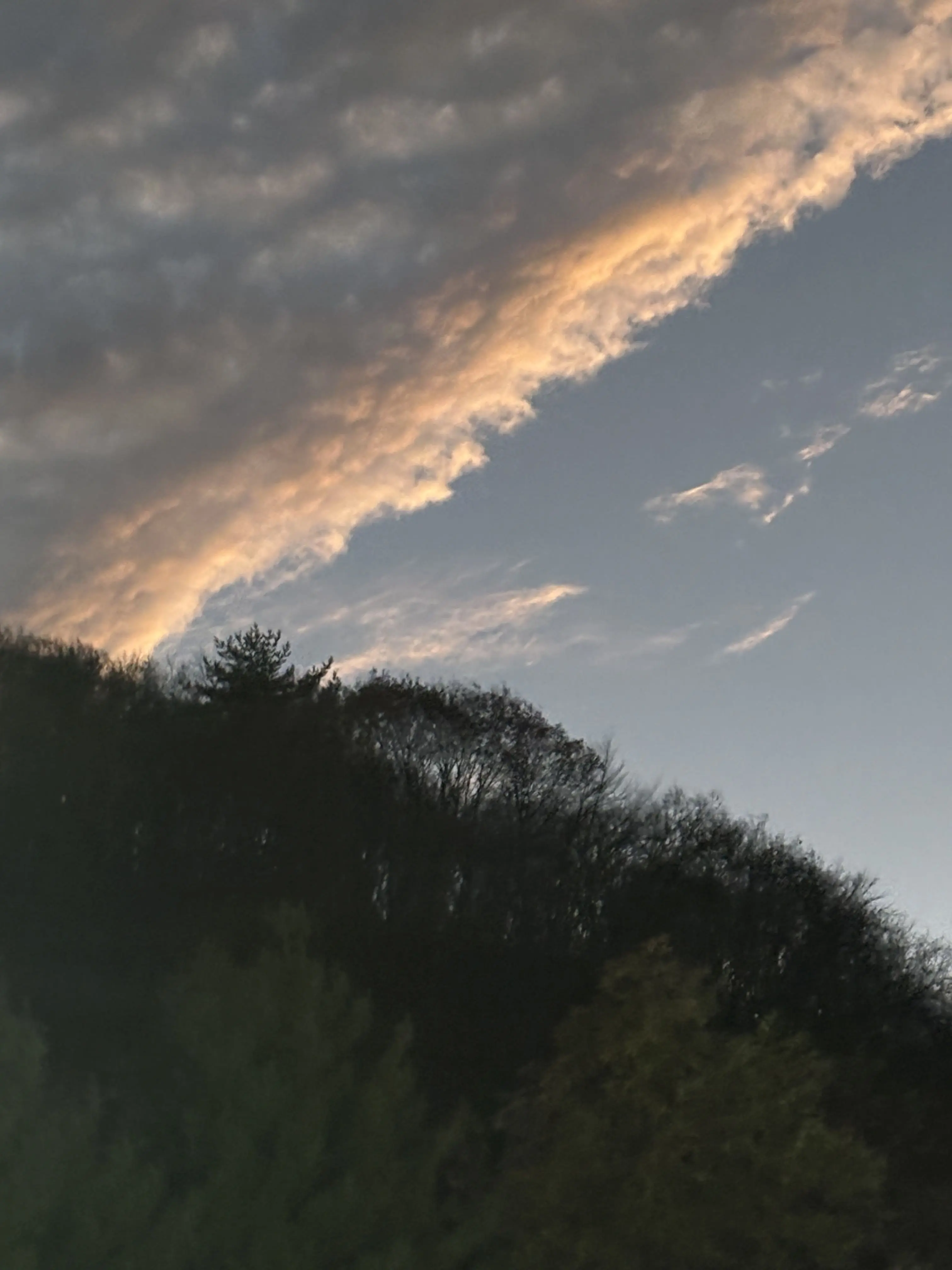 ItchyGhost1391의 LSH