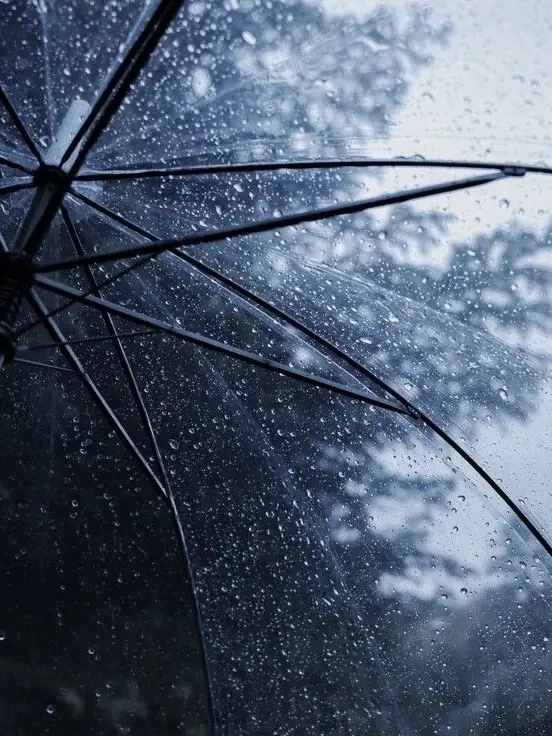 YsSsx3의 정병블루