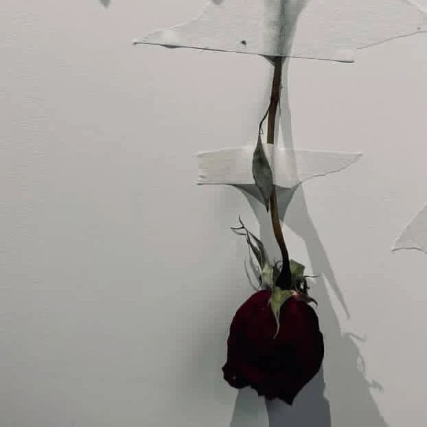 이민호