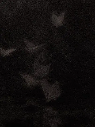 YoDHJ8_의 범죄자들 .