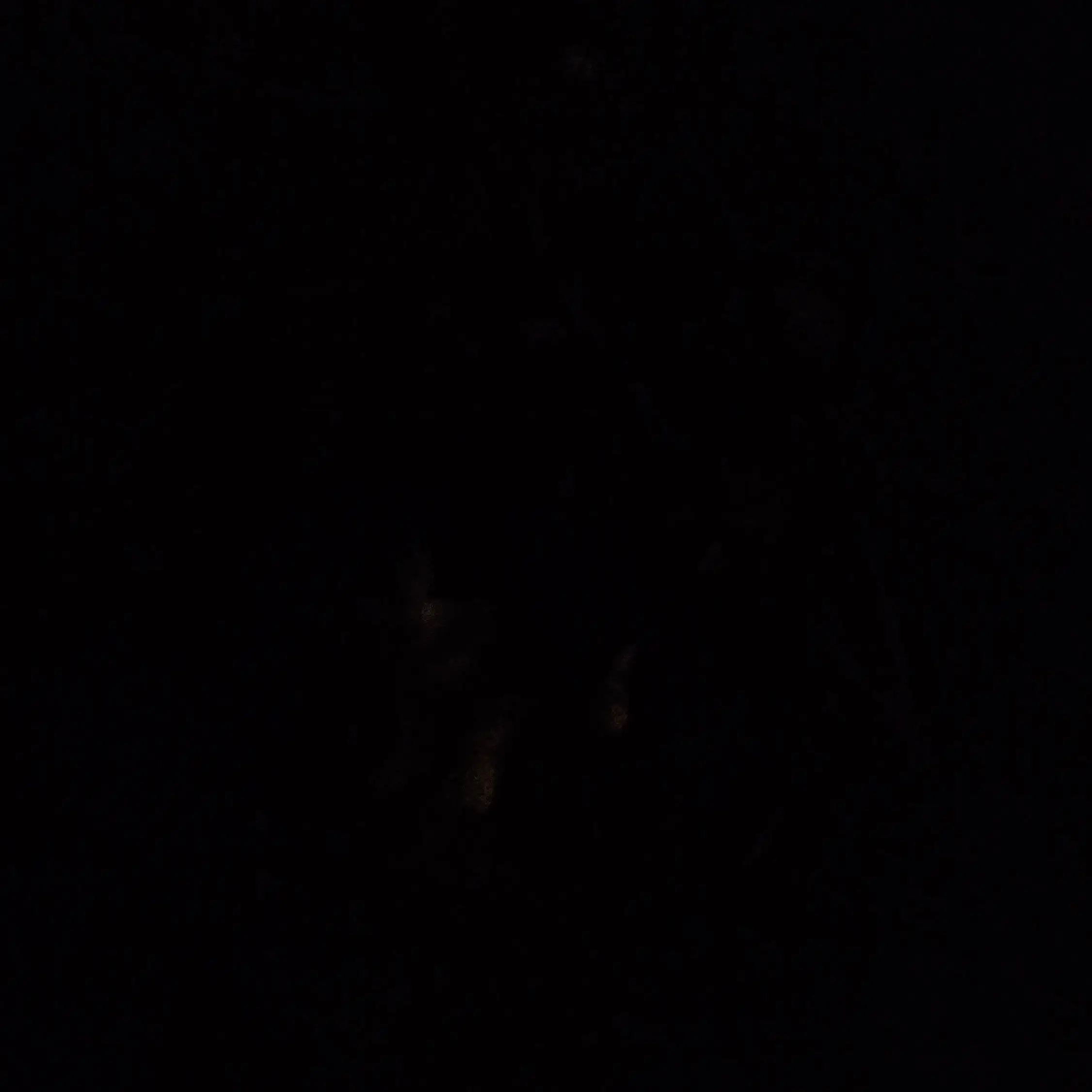 LankySloth7463의 미국 건샵 rpg