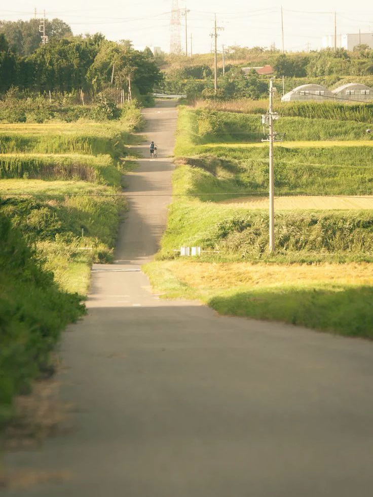 그녀를 믿지 마세요! 대표 이미지