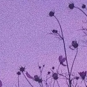 OralVale6549의 🥀