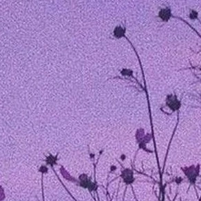 🥀