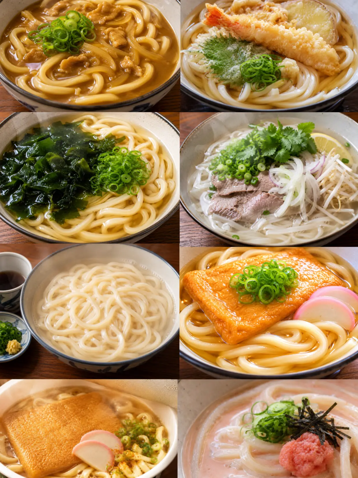 PickyTent0369의 あなたはどのうどんを選ぶ？