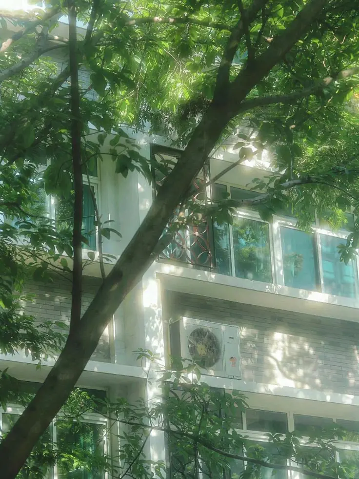 Huchue의 신데렐라.