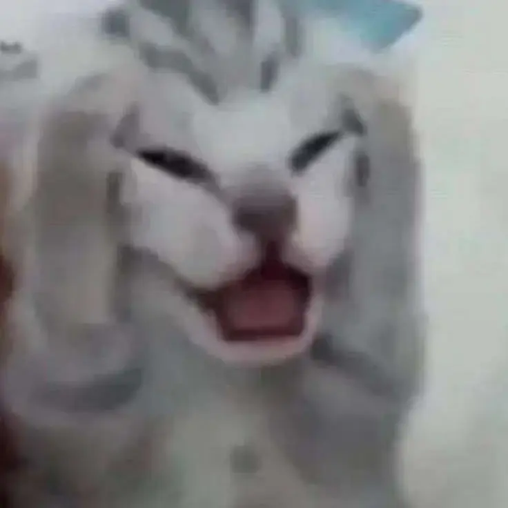 SleekPrice1502의 성격반전