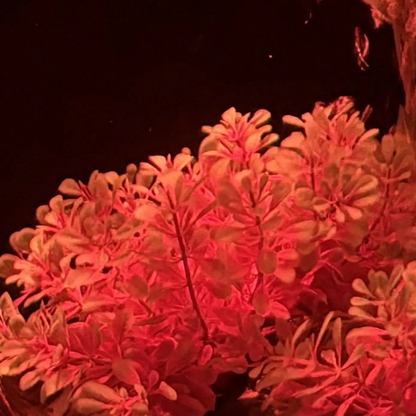 FakeSuit5587의 背後霊のリアム看守？