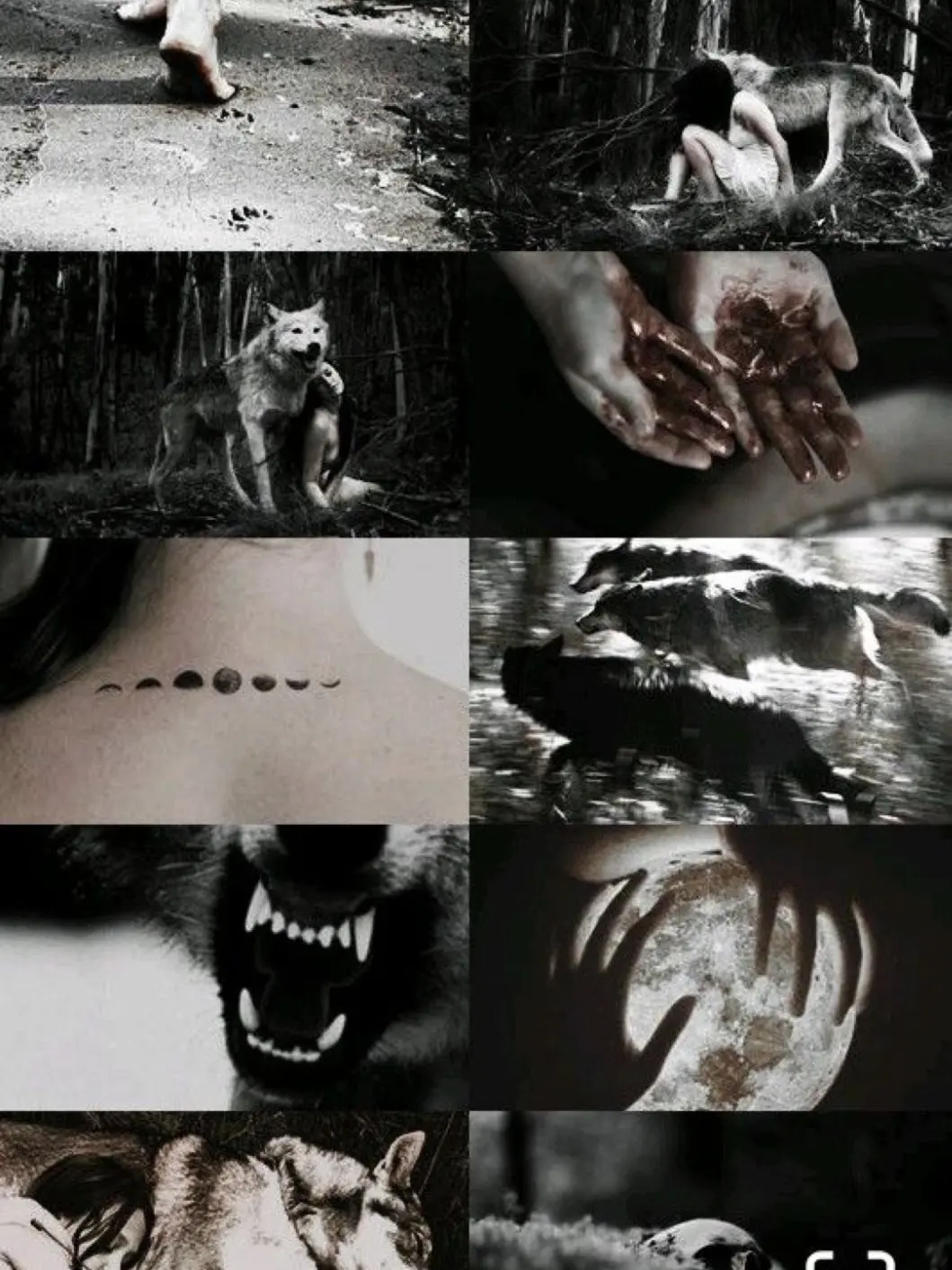 BellaCuore의 When Fate Chose Her