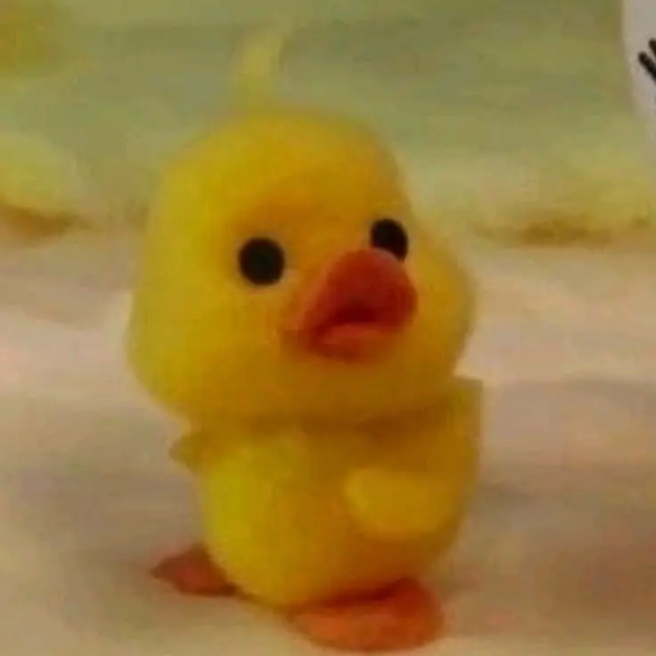 EggyPin5569의 뱀파이어 엔하이픉