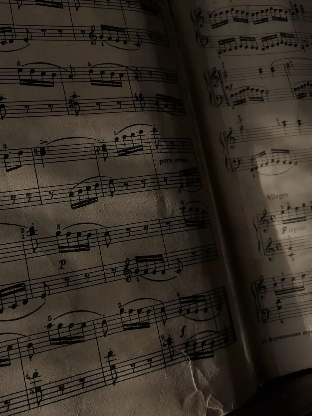 rememberyou의 mu-sic