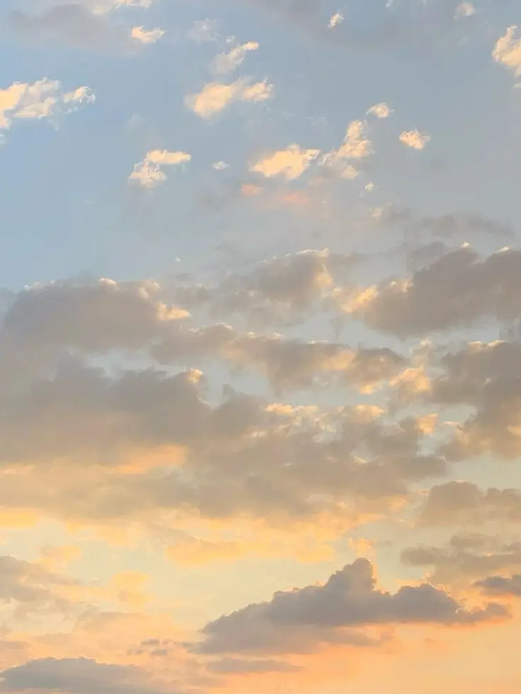 DeepSnore1387의 마지막 우정