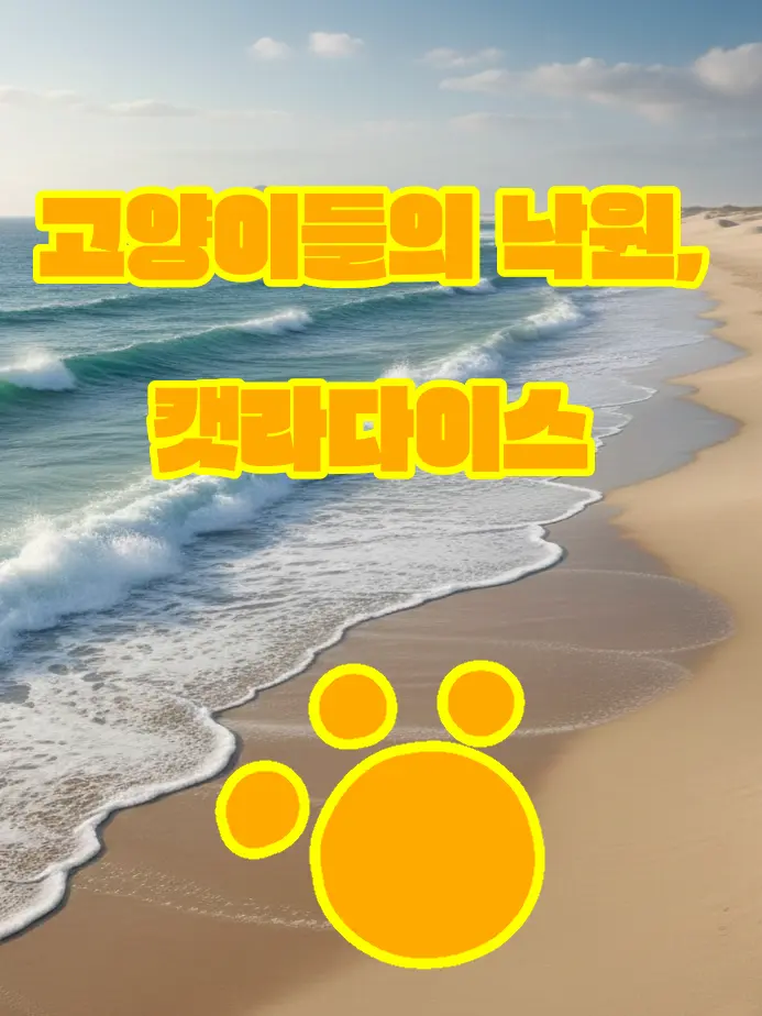 Cheese_K의 고양이들의 낙원, 캣라다이스