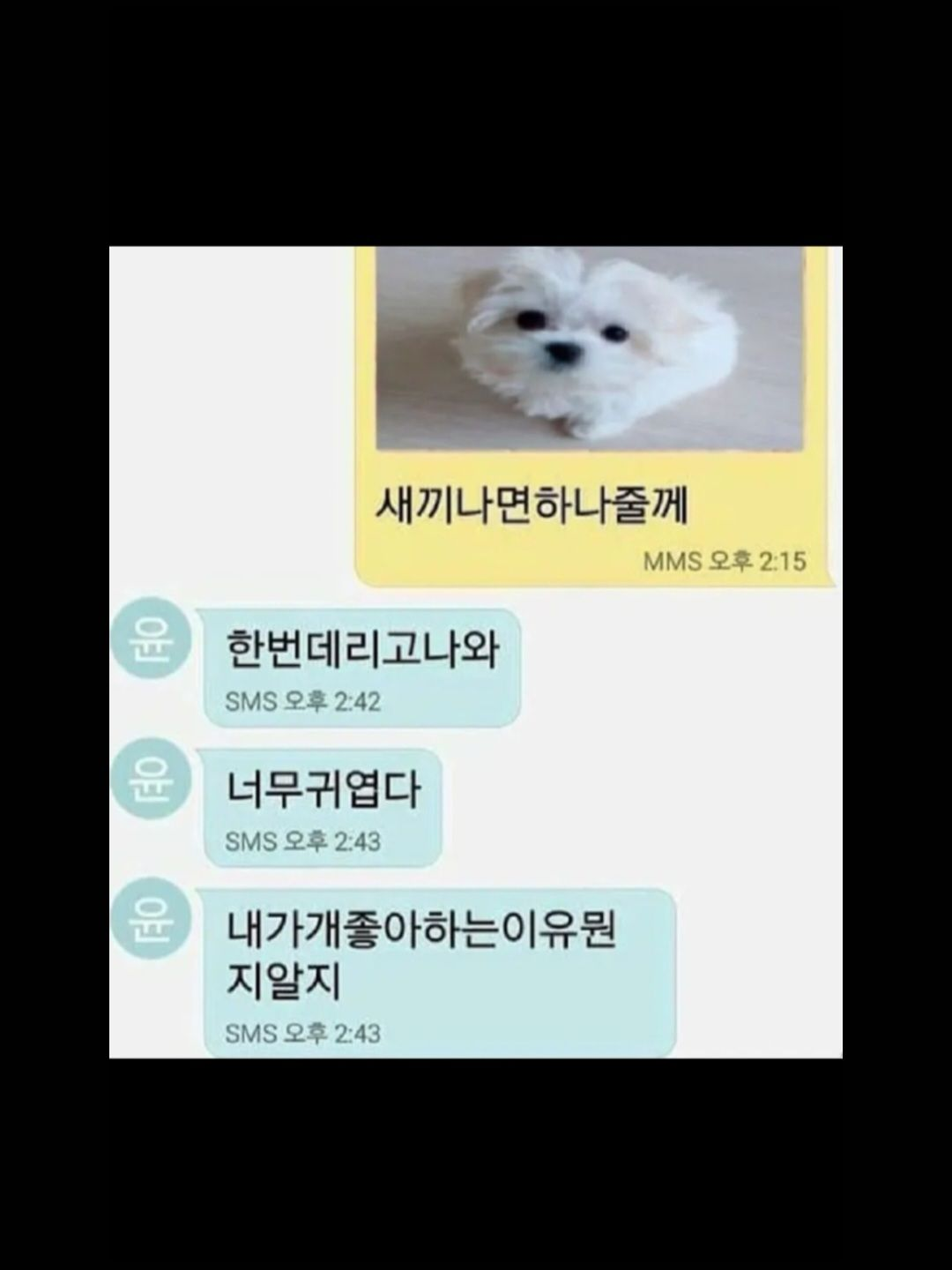 내 똥강아지 대표 이미지