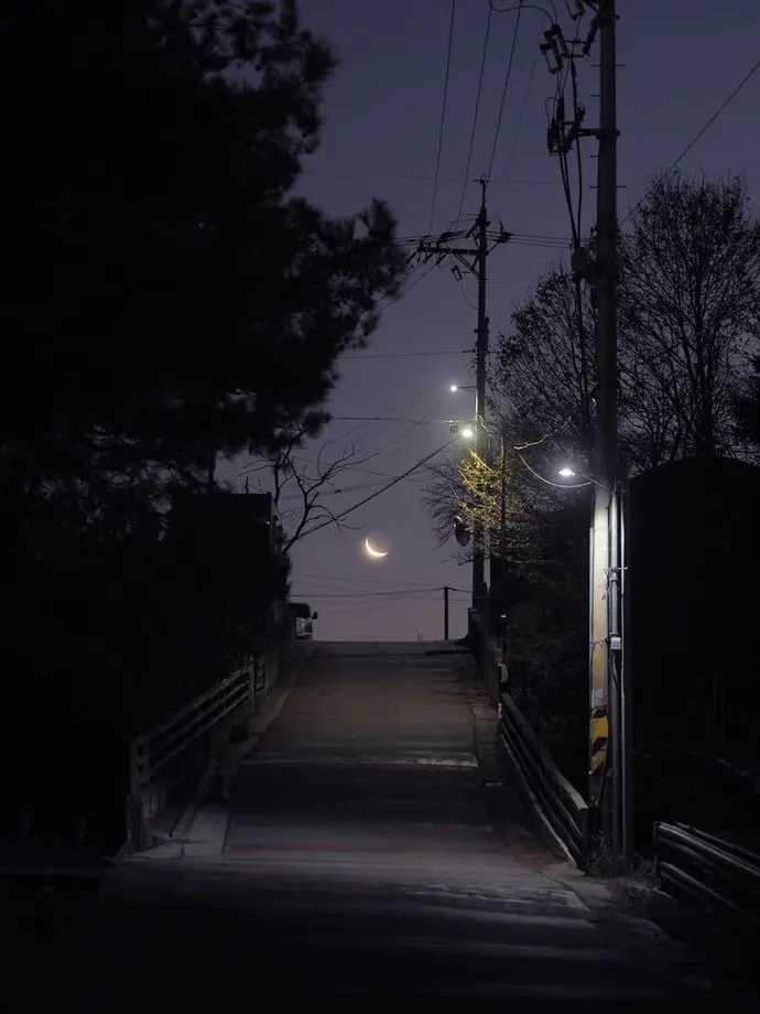 plant___0x0의 ぴくとは世間知らずのお坊ちゃん。