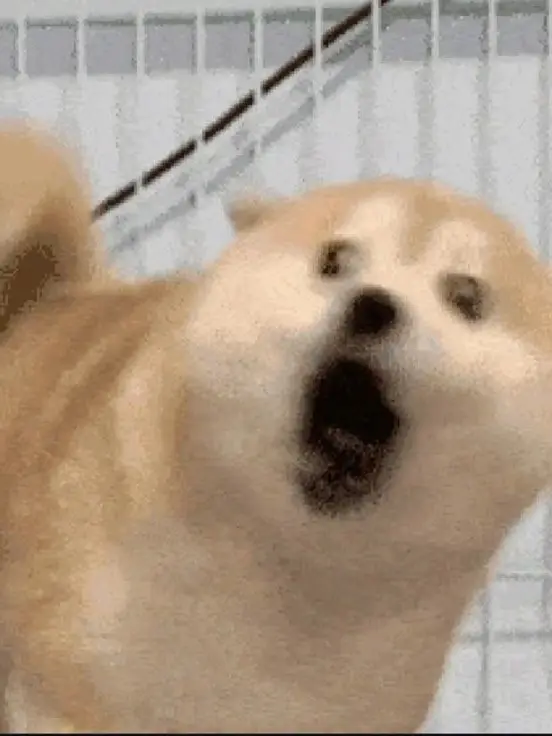 MuggyPetal0047의 太宰が嫌いなアイツ