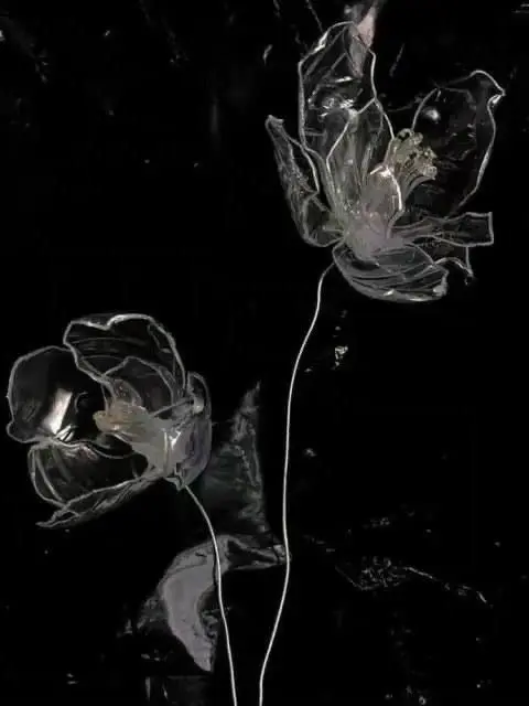 Y_3amxm의 채스터