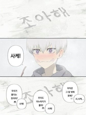 다시마 대표 이미지