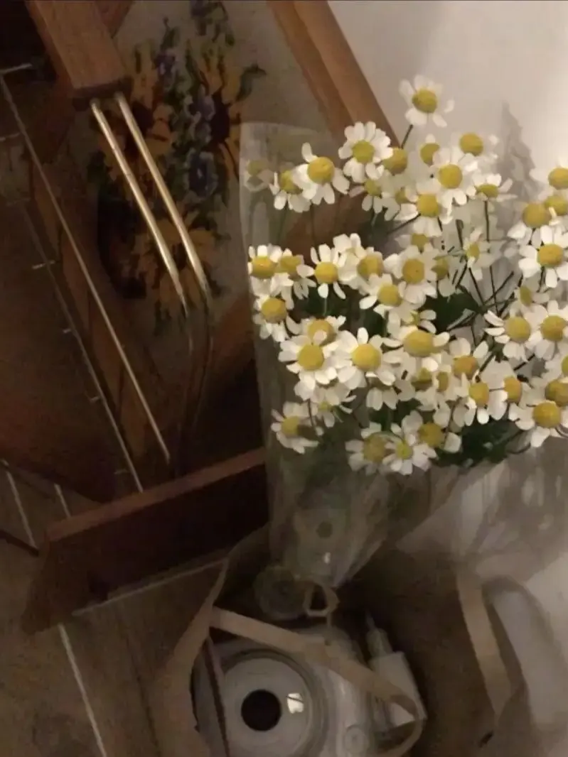 Han.seol의 사랑받는 나였기에