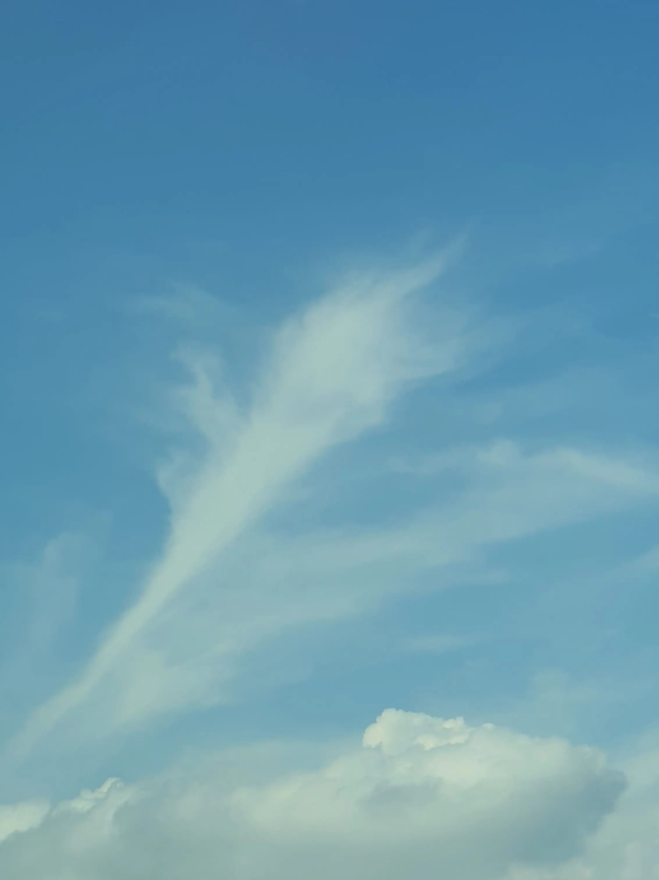 Quiet_Shhh의 青春◦*× ver. 2