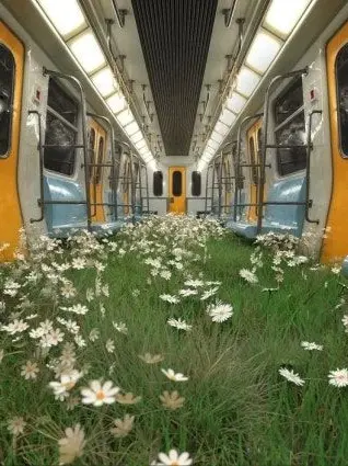 SureSleep1959의 ㅣFontyㅣ