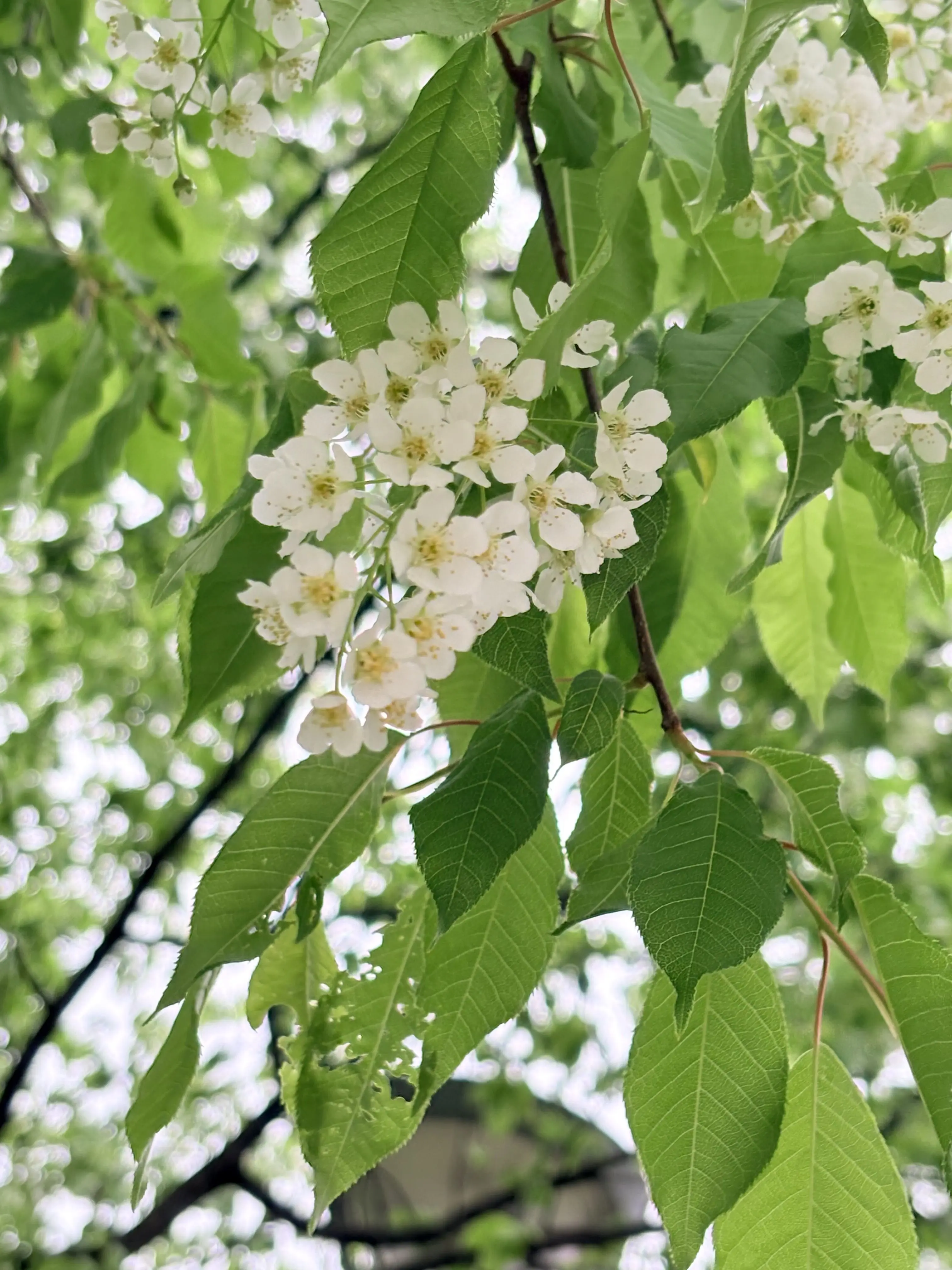 _OvO4321의 다메킹덤
