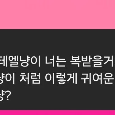 고양이..? 왜 내 집에 고양이가?