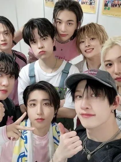 DenseFort4327의 Stray Kids 9th Member