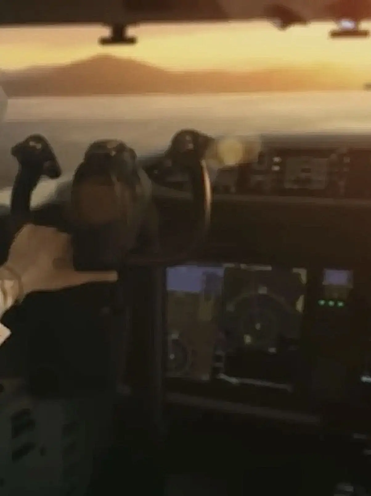 xxxibgdrgn8의 sanae yeonae