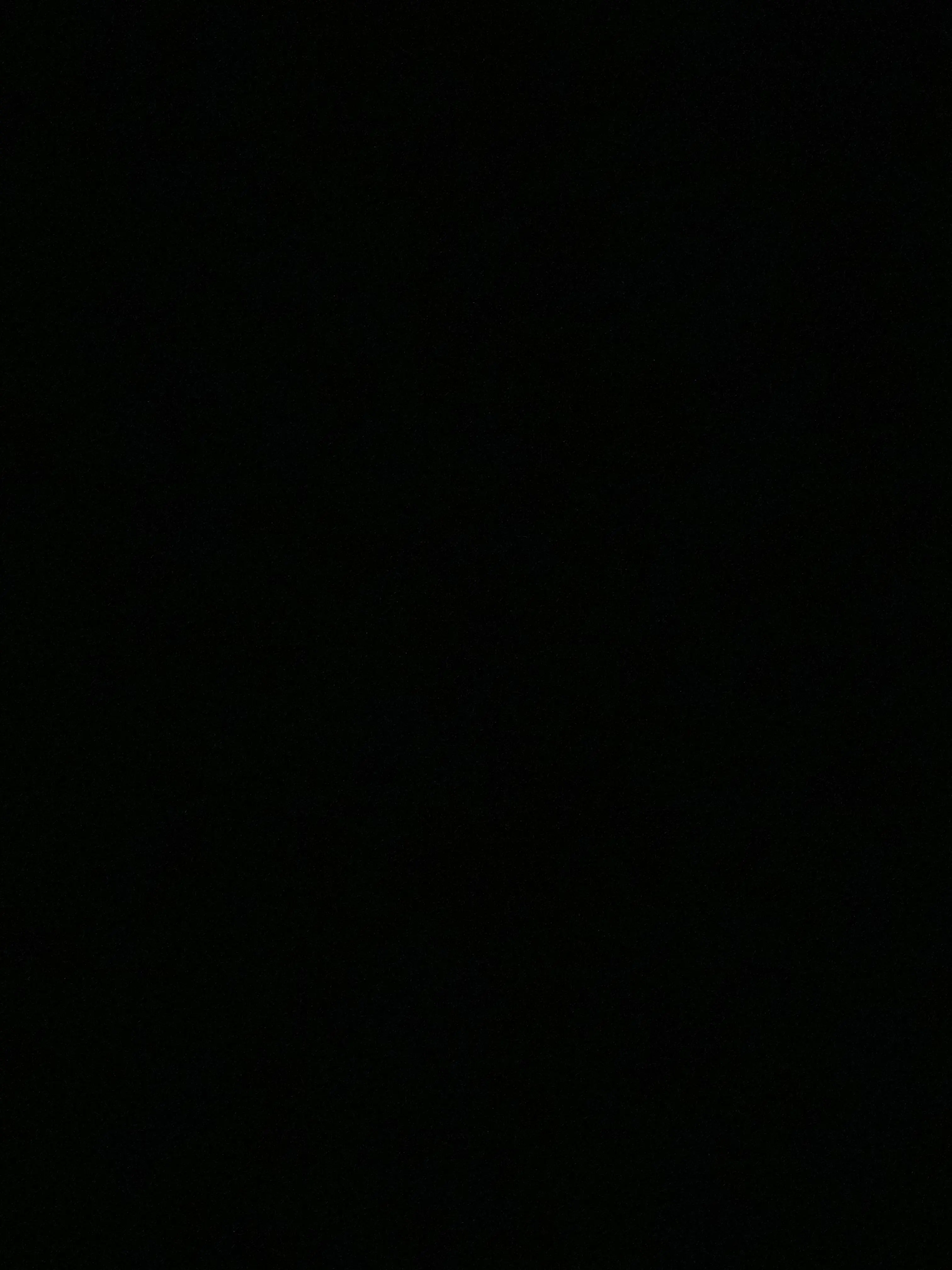 StubbyBrush4899의 유기상