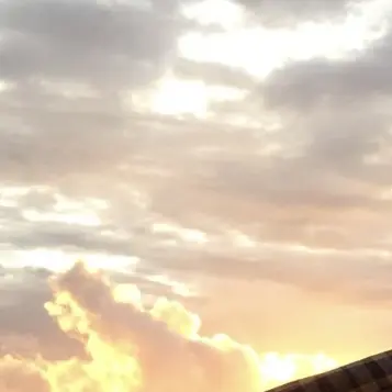 Okinawaa의 최지우