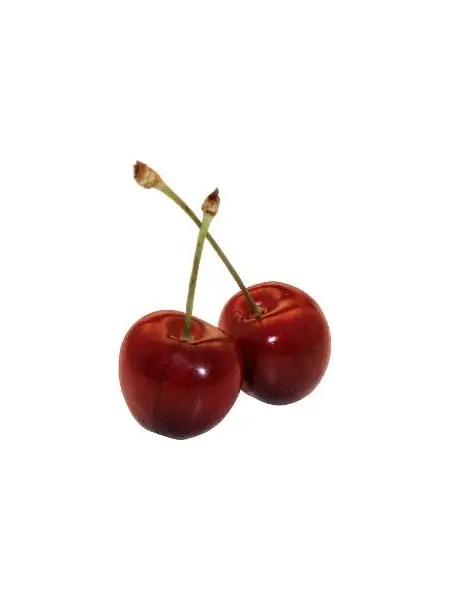 SuperbBongo9632의 Cherry cherry bomb!