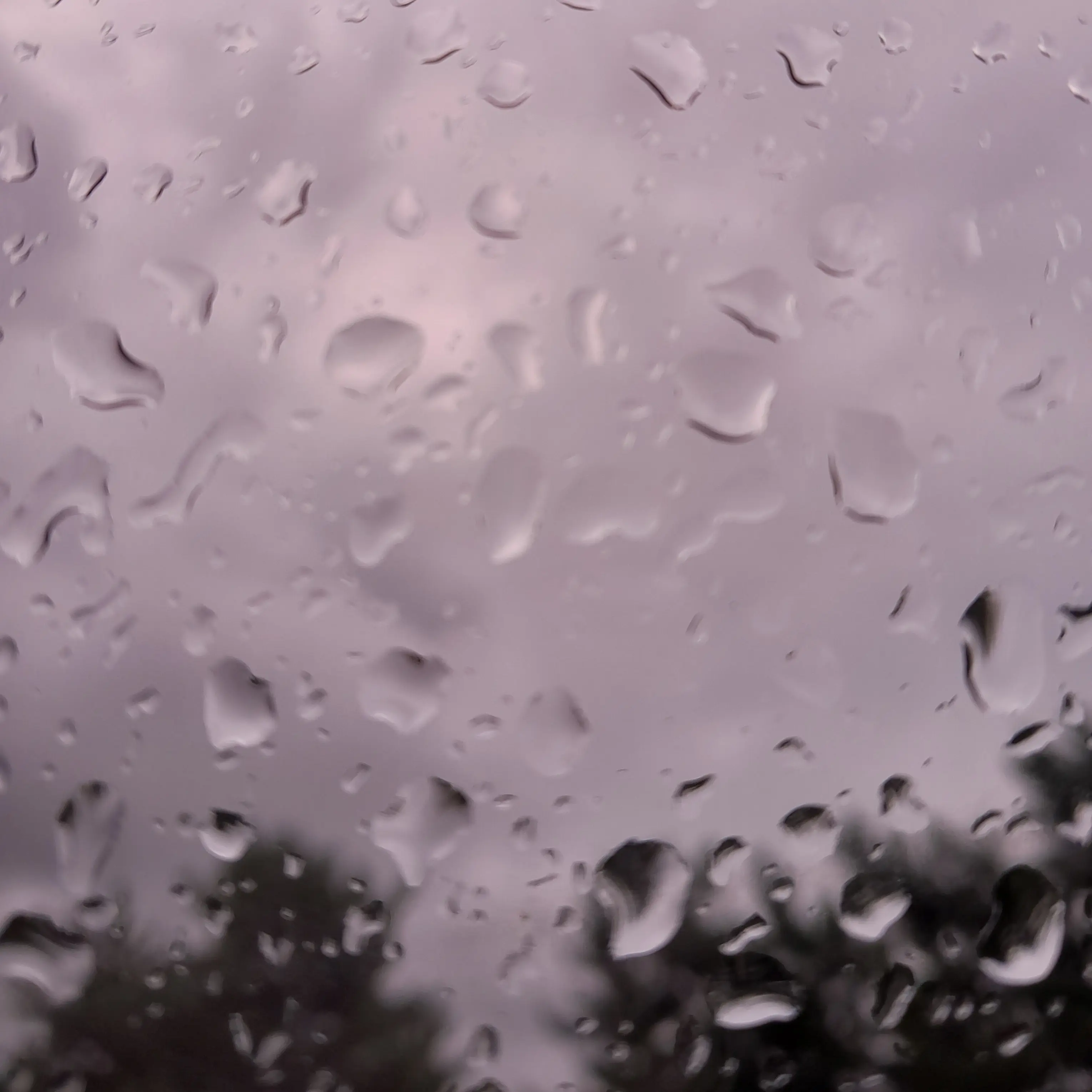 GrayReef4946의 무이치로