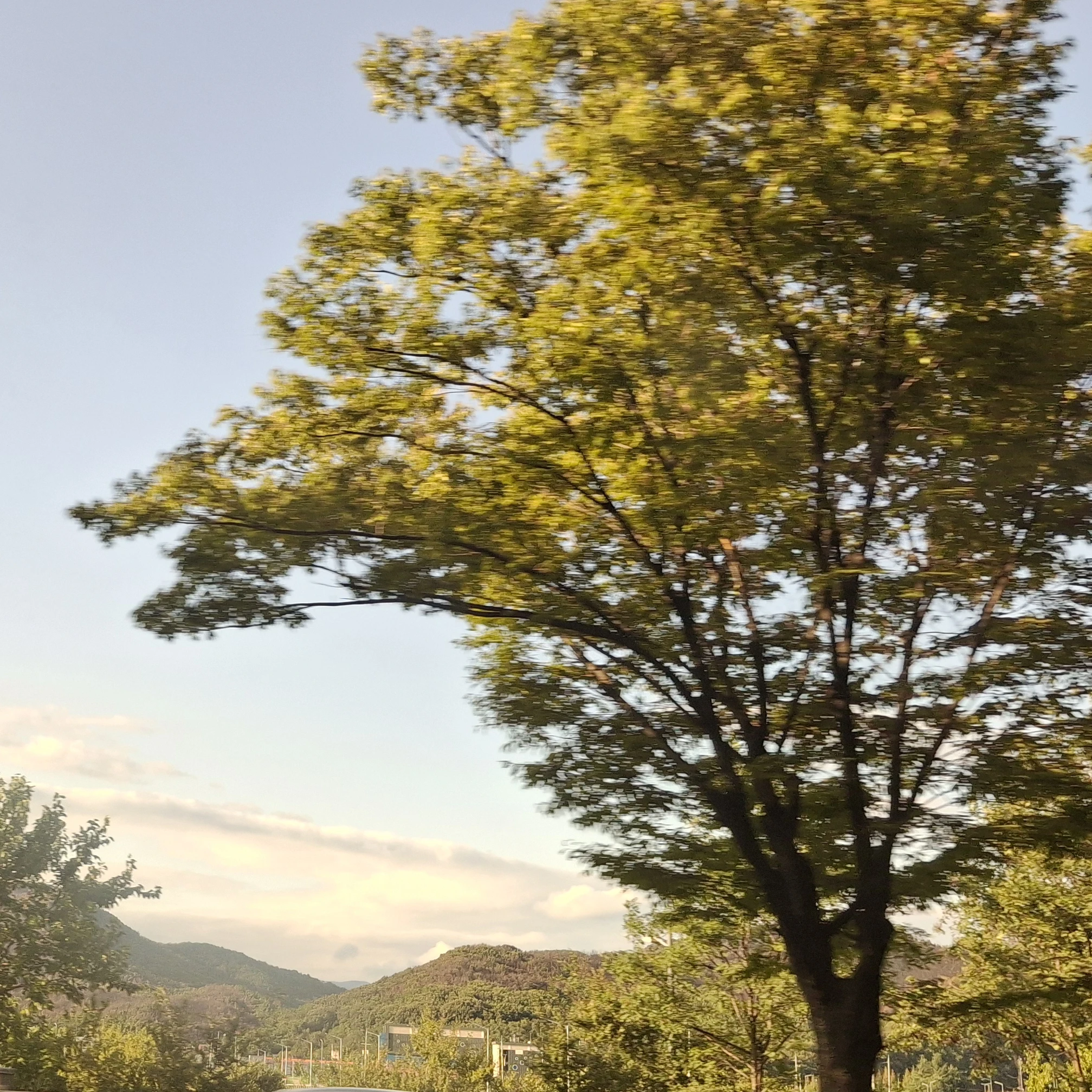 타키포오 초능력학교!+여우