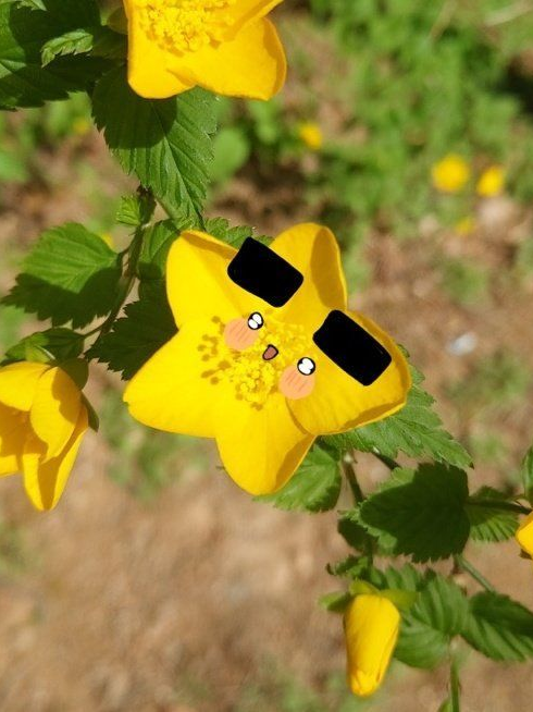 뭐 제작할까요 추천 받아요 대표 이미지