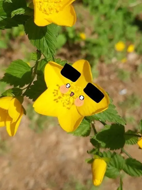 Tomato423의 뭐 제작할까요 추천 받아요