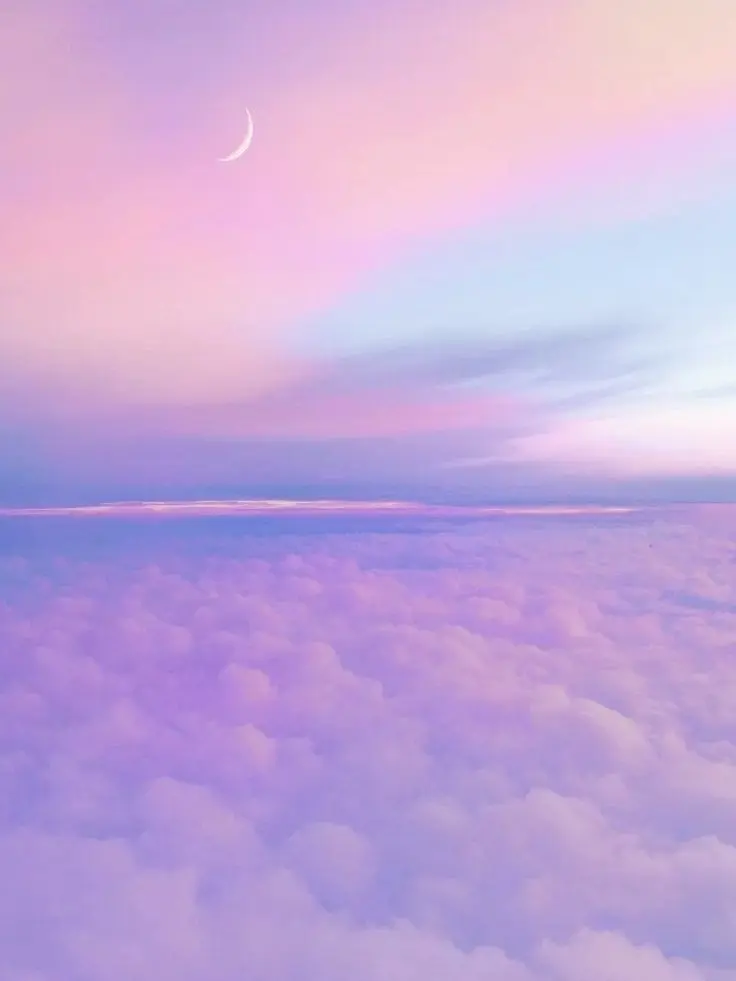 PlainPhoto1747의 先生さようなら