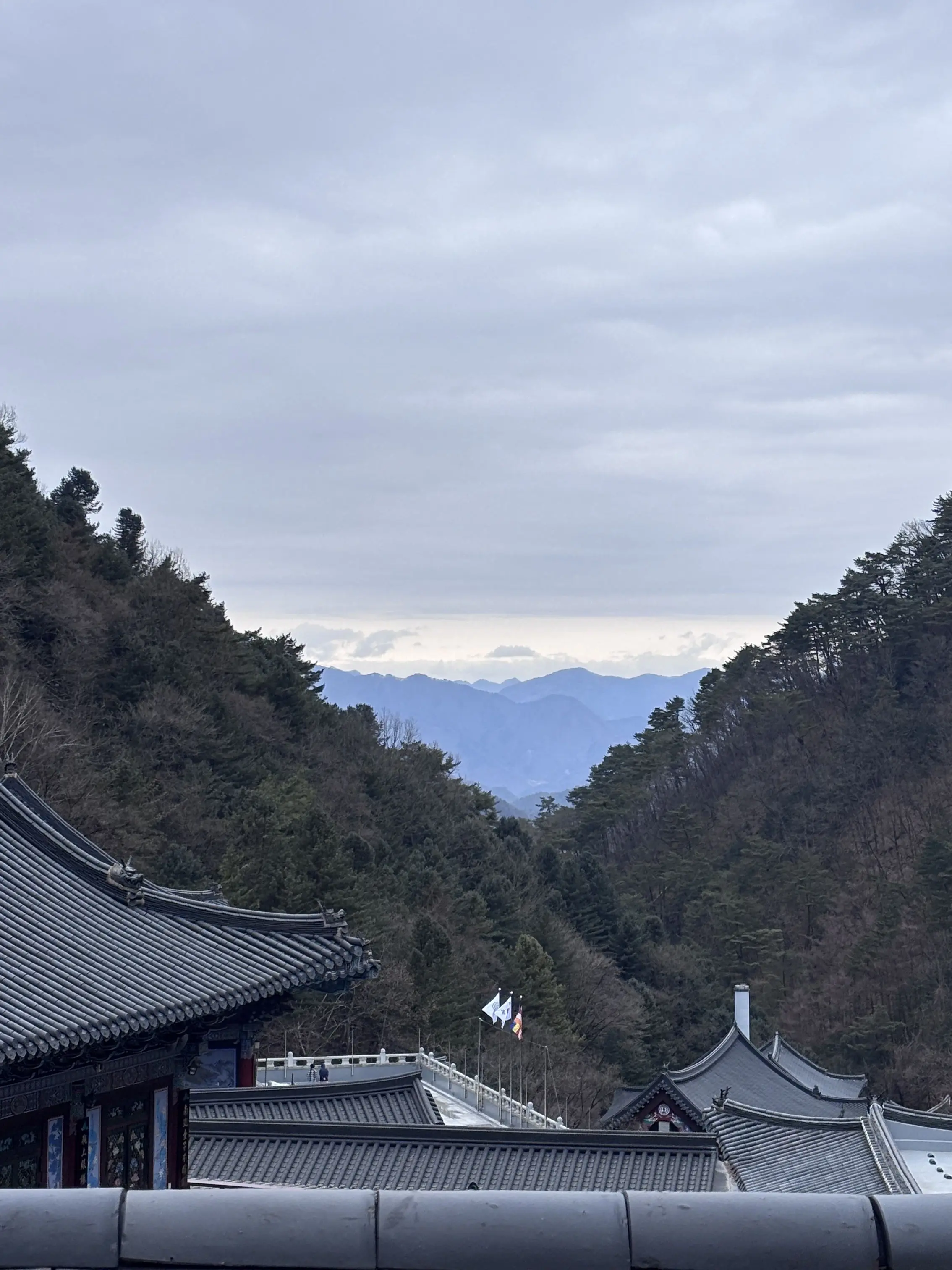 kacCh4n_20의 조선에서만은 No.1