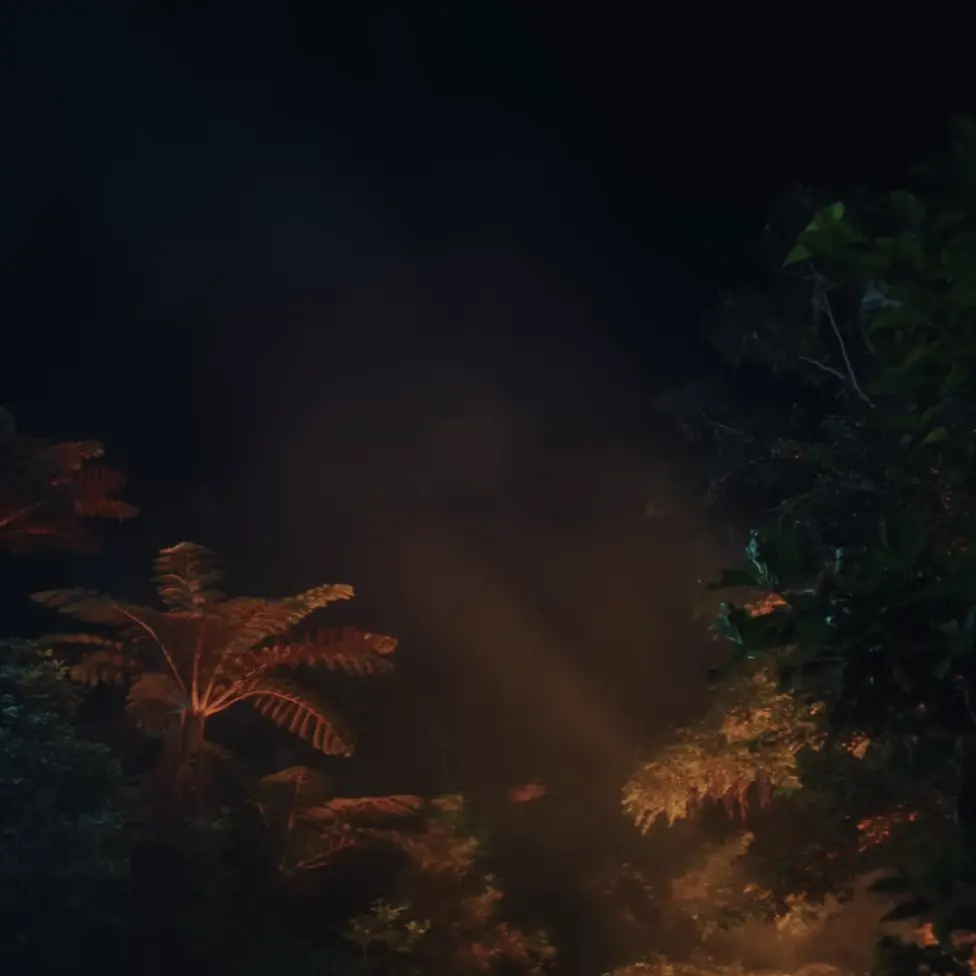 Yue0901의 Secret Garden