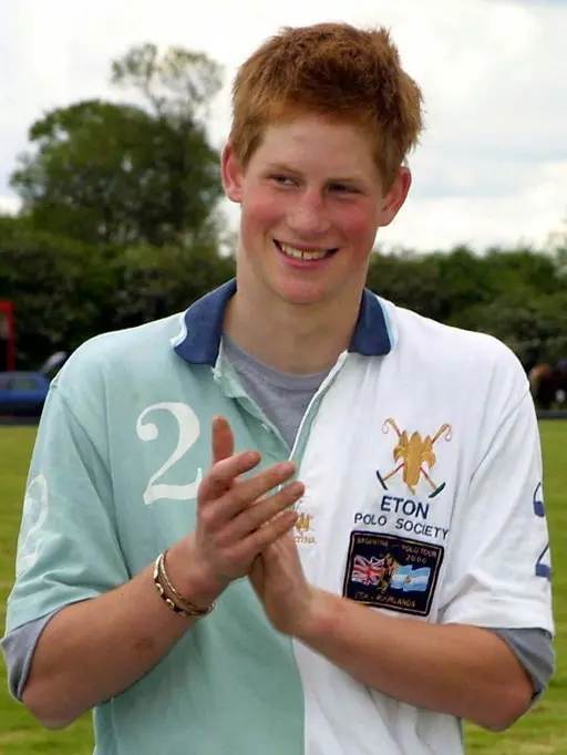 BoredVoice1419의 Prince Harry