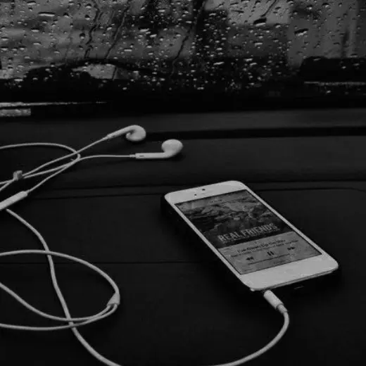 tired_zzz의 정공룡_아이돌