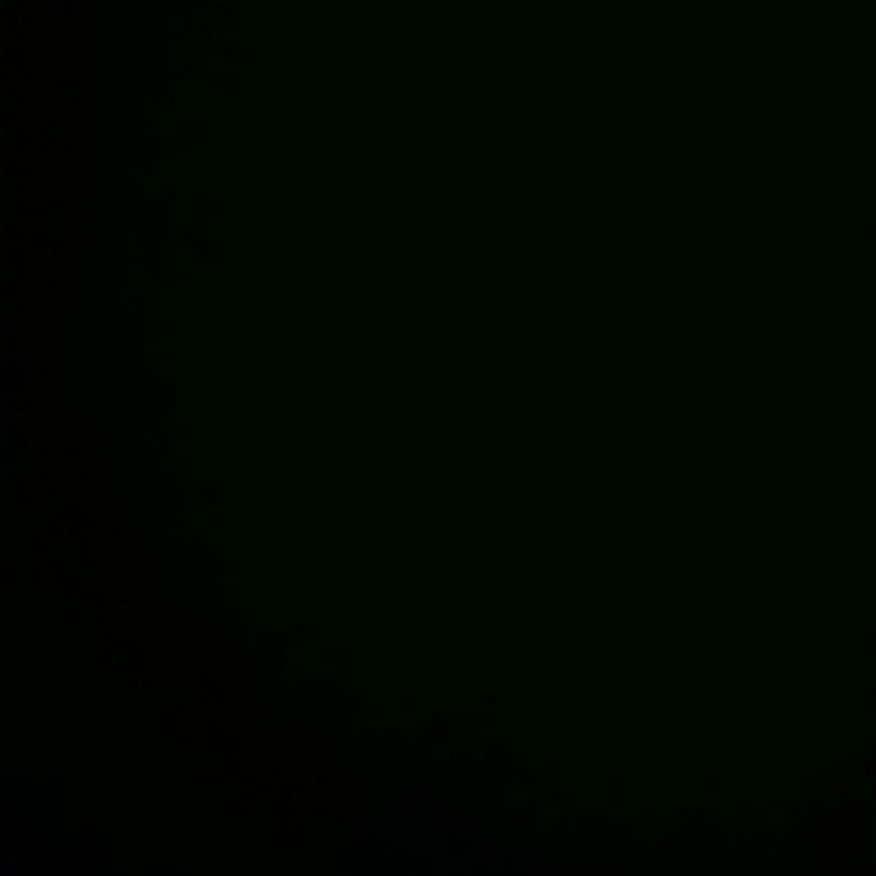 assnsns의 장원영