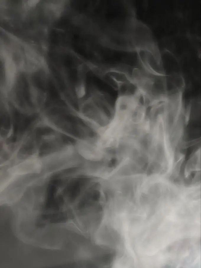 Hamm_ii의 사람도 퇴마가 되나요?