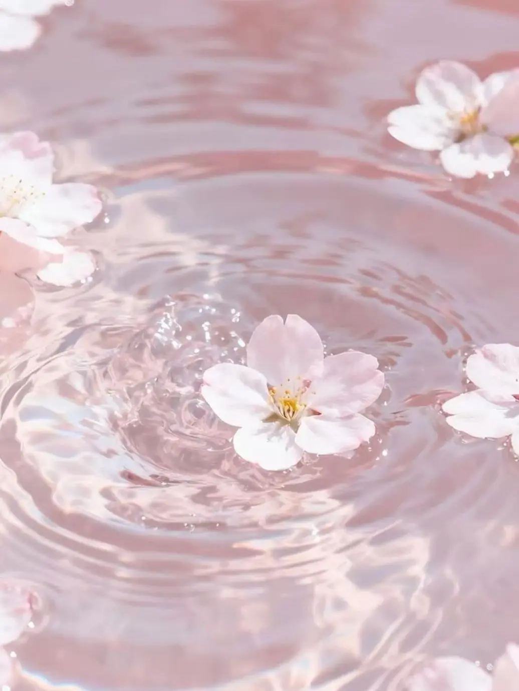 DaftSweat3835의 Flower Princess