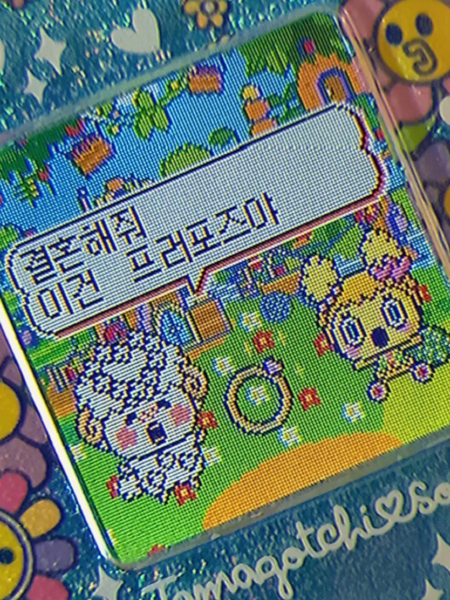 IcyLand3165의 [gl] 백지헌