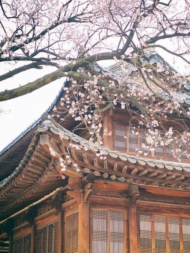 조선시대 대표 이미지